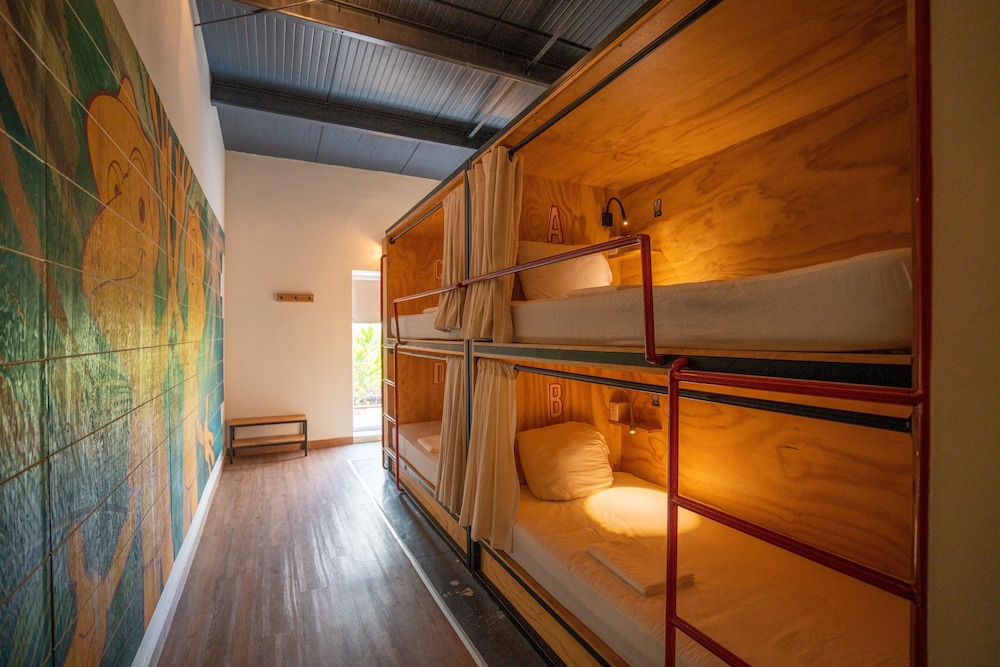 Bed in 12-Bed Mixed Dormitory Room photo 2