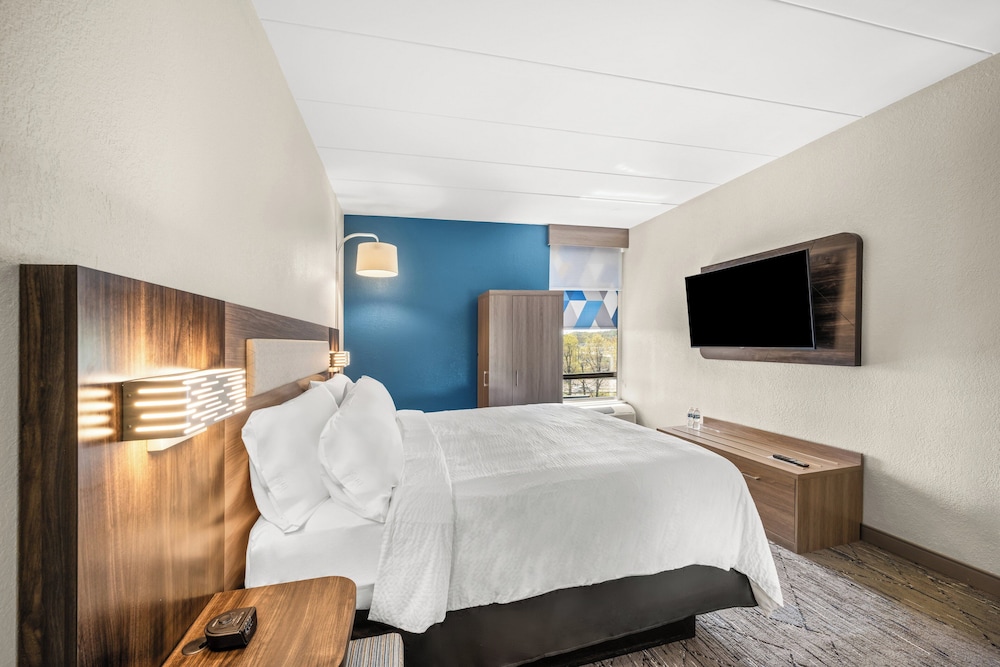 Suite, 1 King Bed - Photo 4