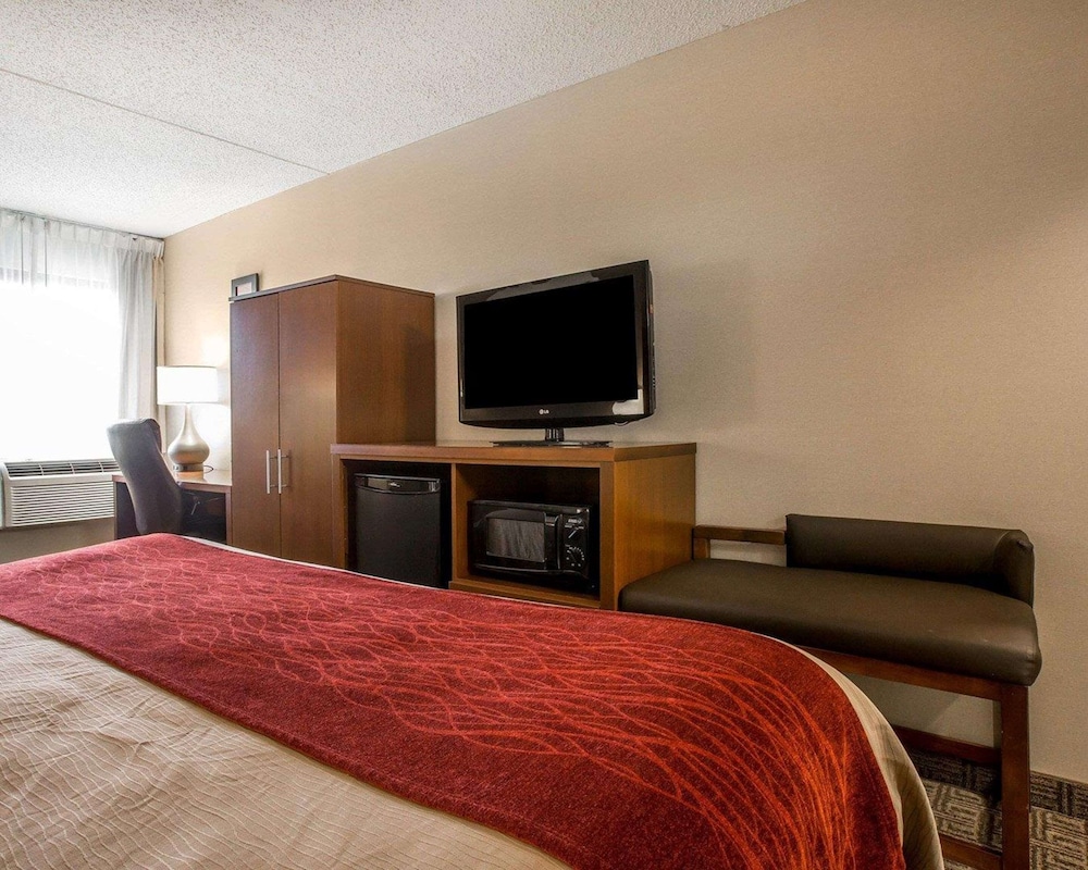 Standard Room, 1 King Bed with Sofa bed, Non Smoking - Photo 1