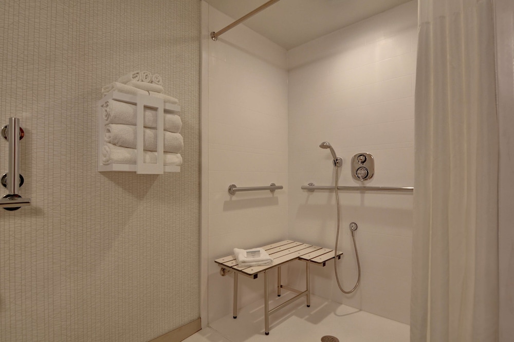 Room, 1 King Bed, Accessible, Non Smoking (Roll-In Shower) - Photo 9