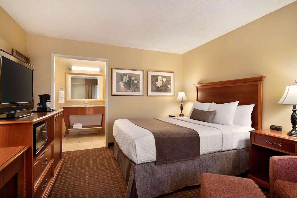 Room, 1 King Bed, Non Smoking photo 1