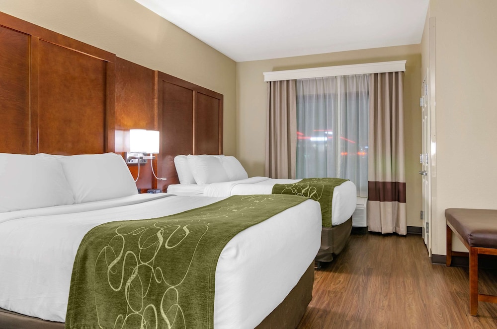 Suite, Multiple Beds