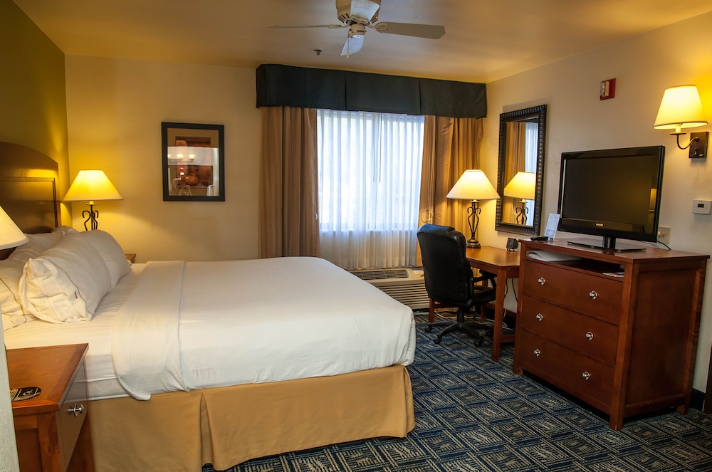 Suite, 1 King Bed (Extra Living Area) - Photo 2