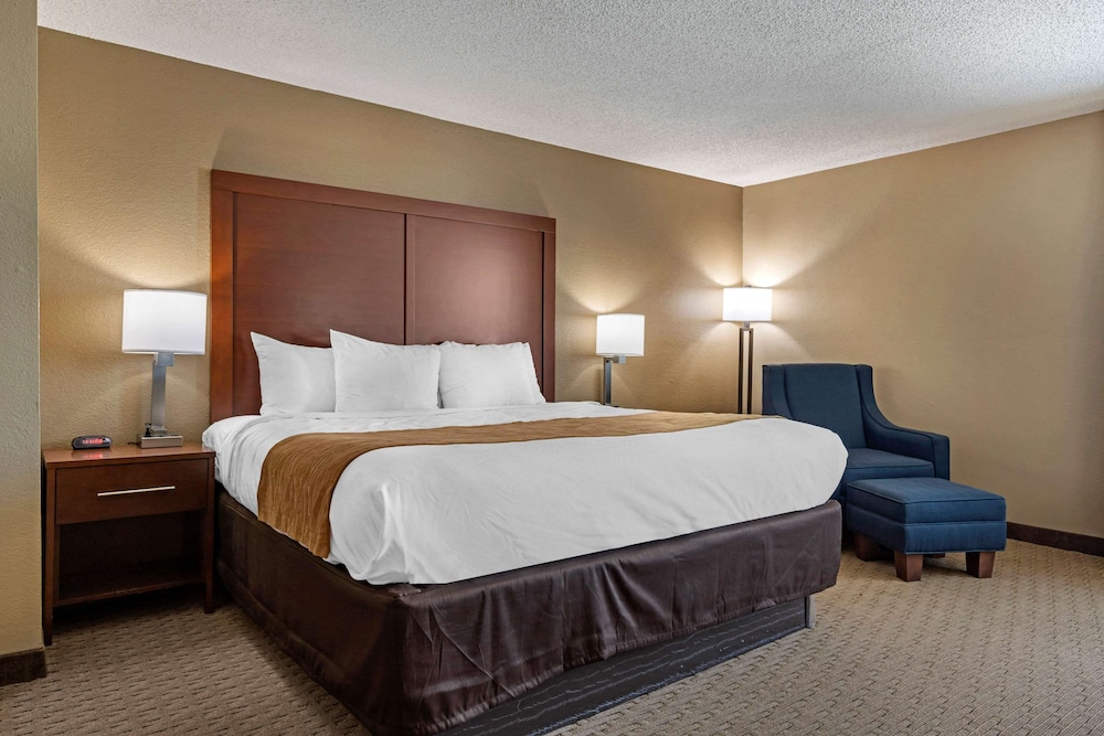 Standard Room, 1 King Bed, Non Smoking