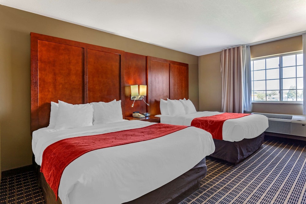 Suite, 2 Queen Beds