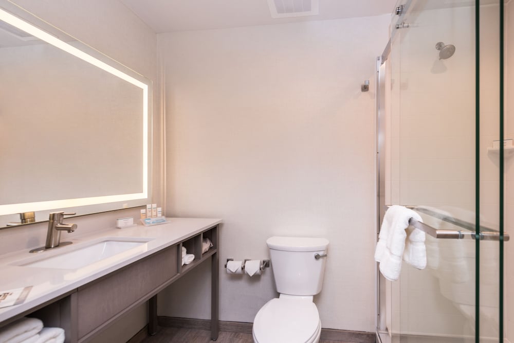 Room, 1 King Bed, Accessible (Roll-In Shower) photo 3