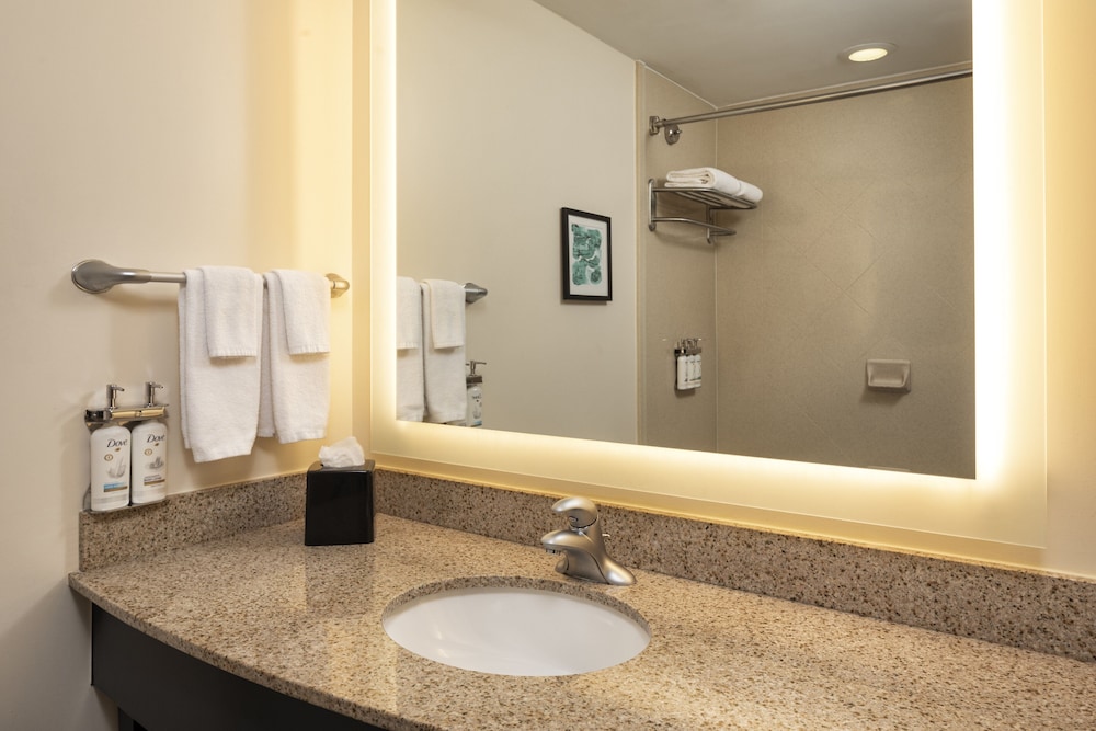 Standard Room, 1 King Bed, Accessible (Communications, Accessible Tub) - Photo 6