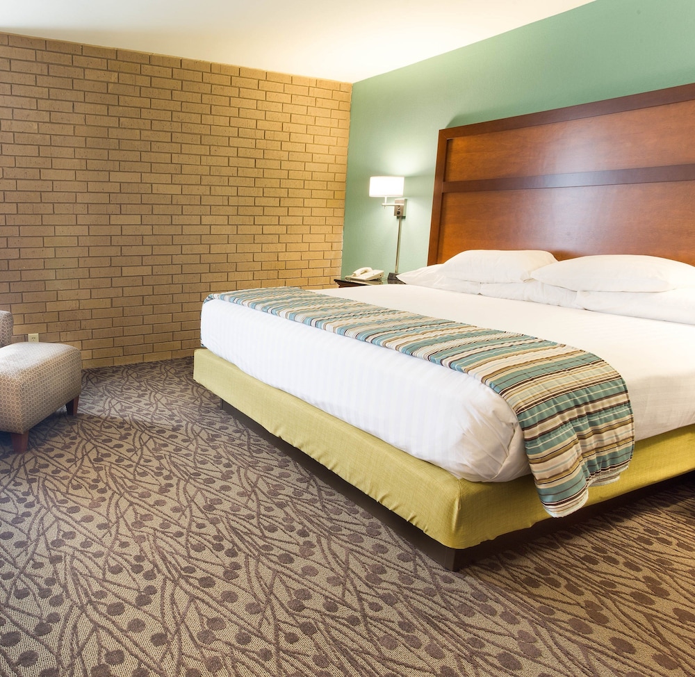 Suite, 1 King Bed with Sofa bed, Refrigerator & Microwave (2 Rooms, Oversized) photo 2