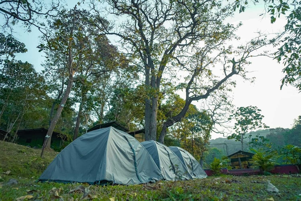 Basic Tent