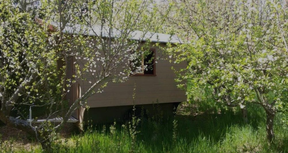 Mobile Home (3) photo 1