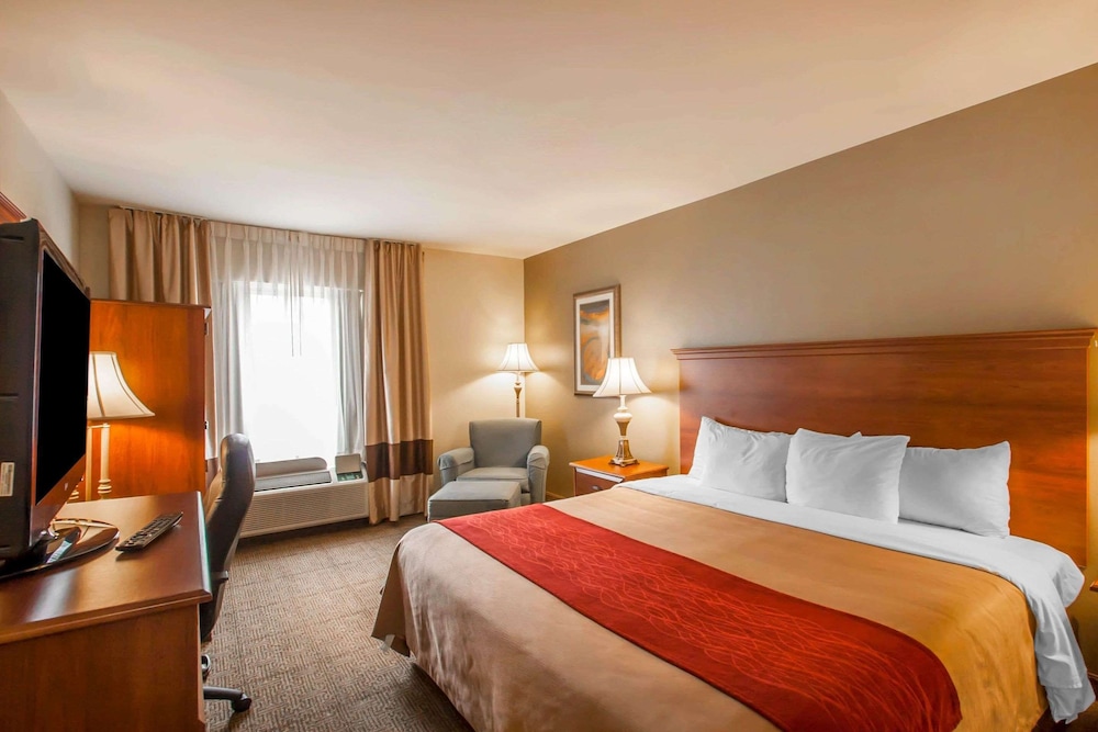 Standard Room, 1 King Bed, Non Smoking - Photo 1