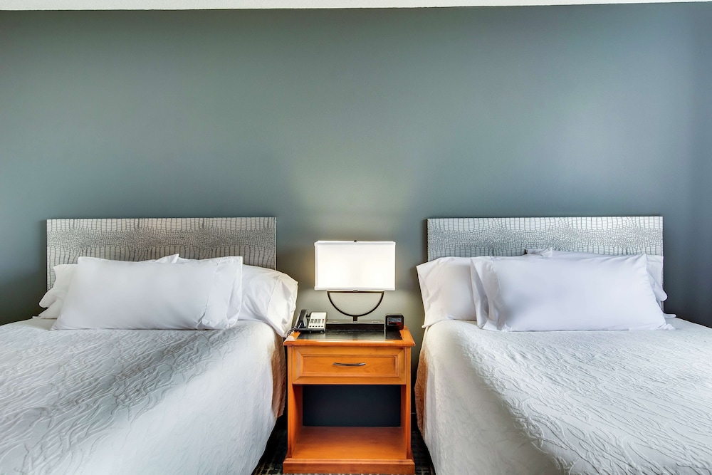 Suite, 1 Bedroom, Non Smoking - Photo 3