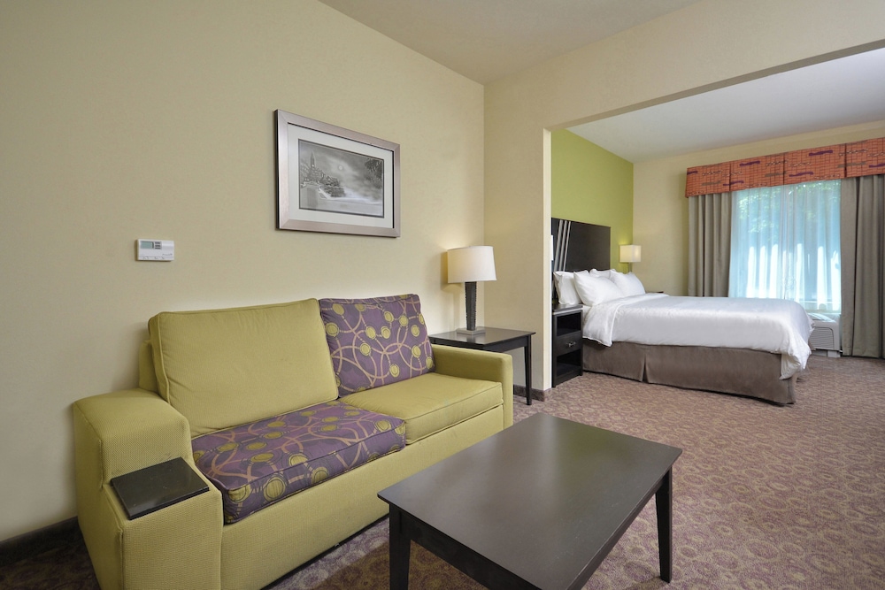 Suite, 1 King Bed, Accessible (Mobility Accessible, Communications) - Photo 1