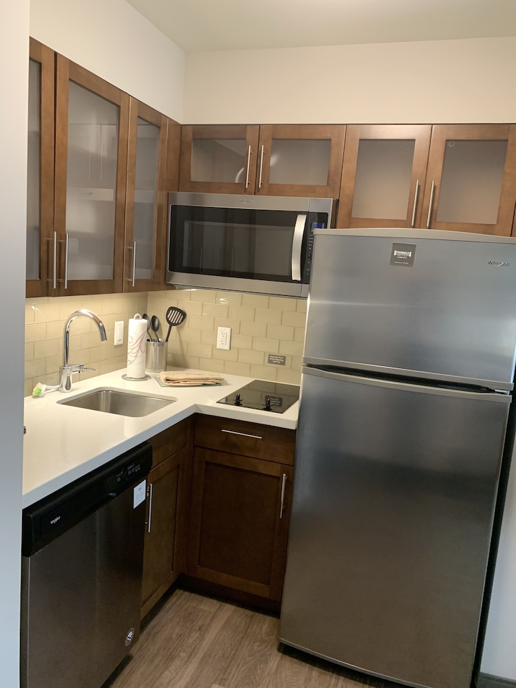 Suite, 1 Bedroom, Kitchen - Photo 5