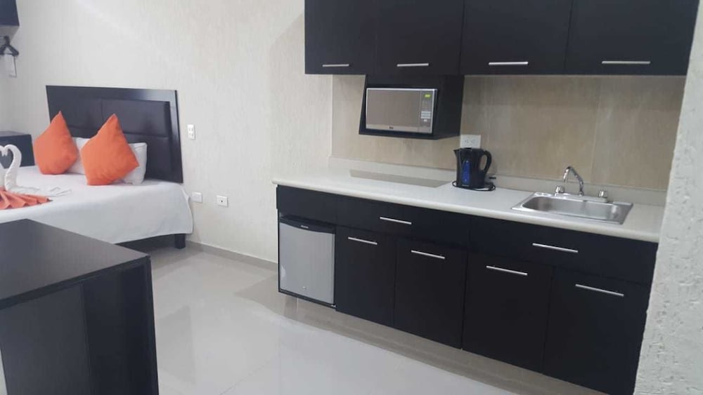 Business Apartment, 1 King Bed, Kitchenette photo 3