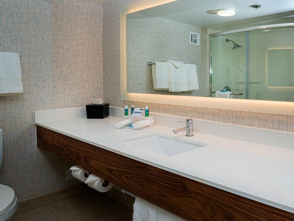 Room, 1 King Bed, Accessible (Communication, Walk-In Shower) photo 3