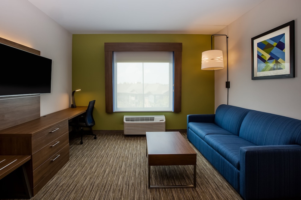 Suite, 1 King Bed - Photo 1