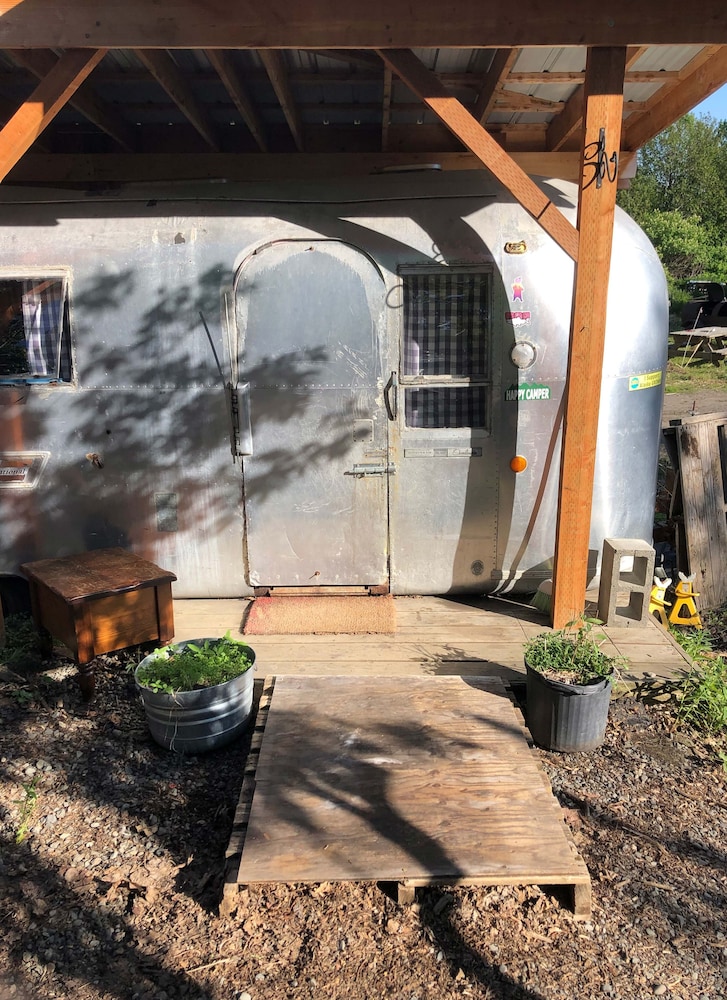 Basic Cabin photo 3