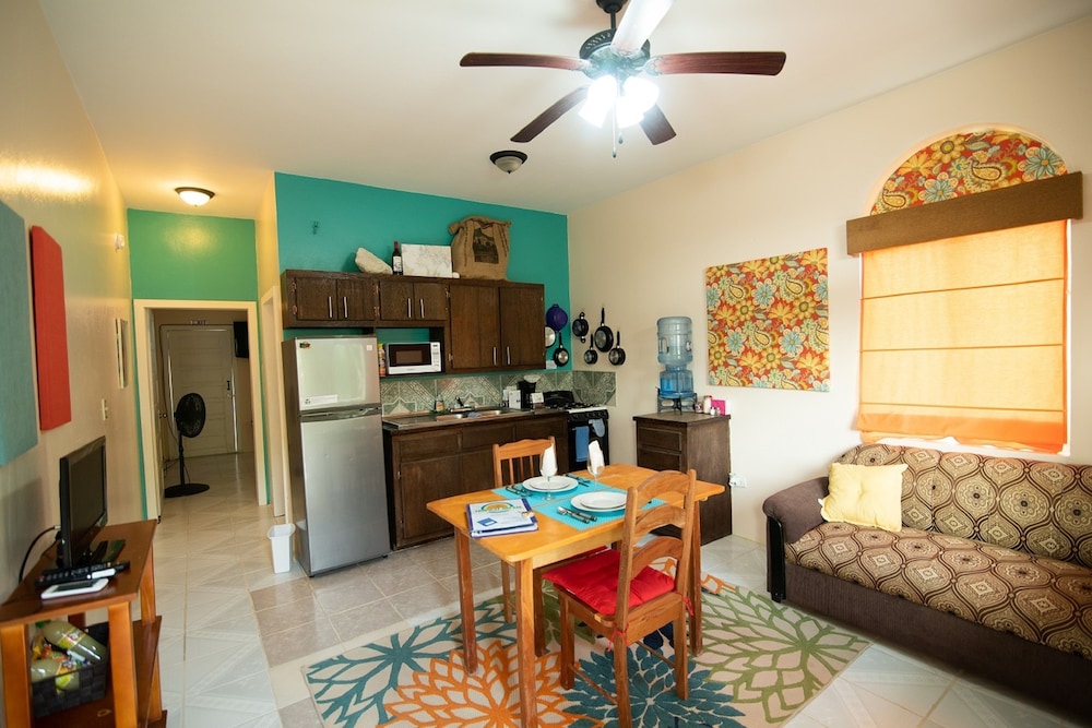 Deluxe Apartment, 1 King Bed, Non Smoking, Kitchen photo 3