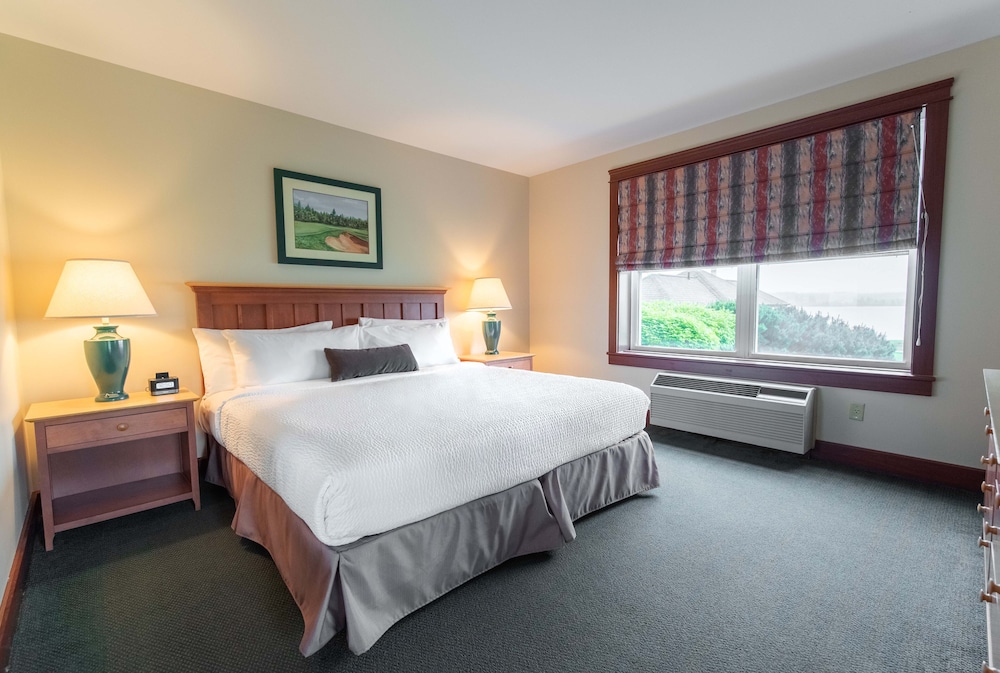 Executive Suite, 1 King Bed with Sofa bed photo 1