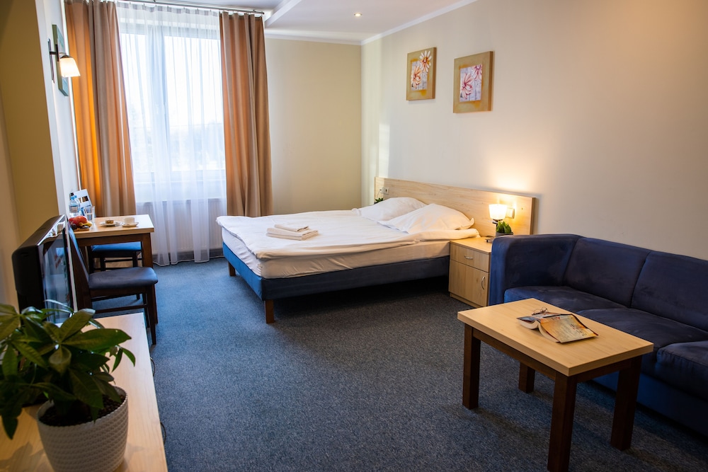 Double Room Single Use, 1 King Bed photo 1