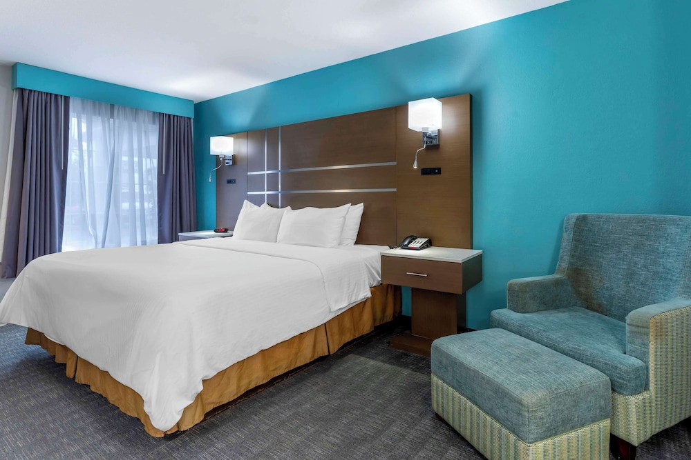 Standard Room, 1 King Bed, Non Smoking, Refrigerator & Microwave photo 1