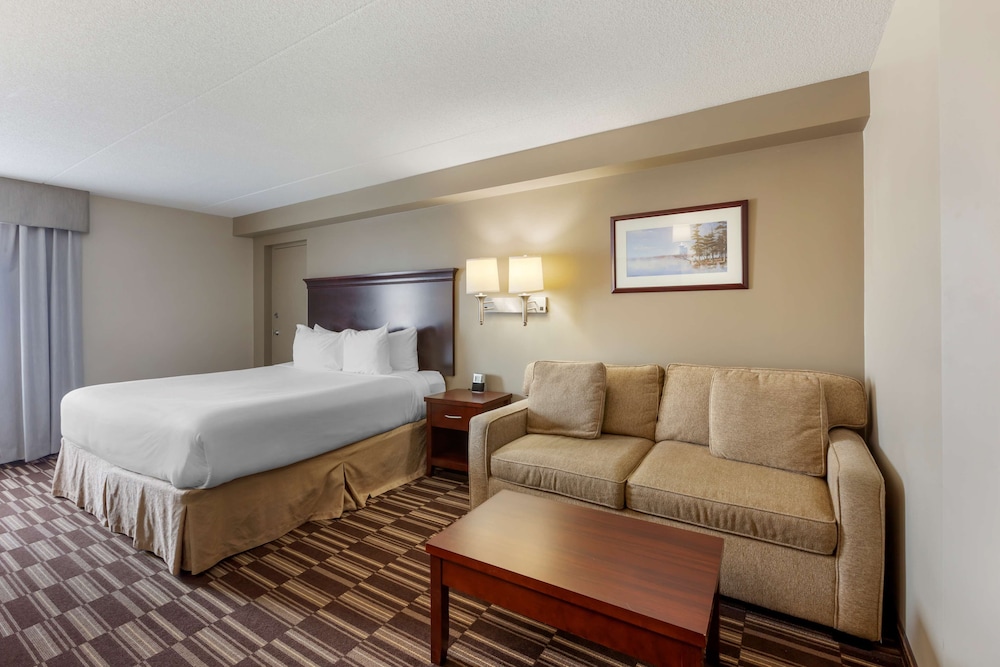 Standard Room, 1 King Bed, Non Smoking, Refrigerator & Microwave (with Sofabed) - Photo 3