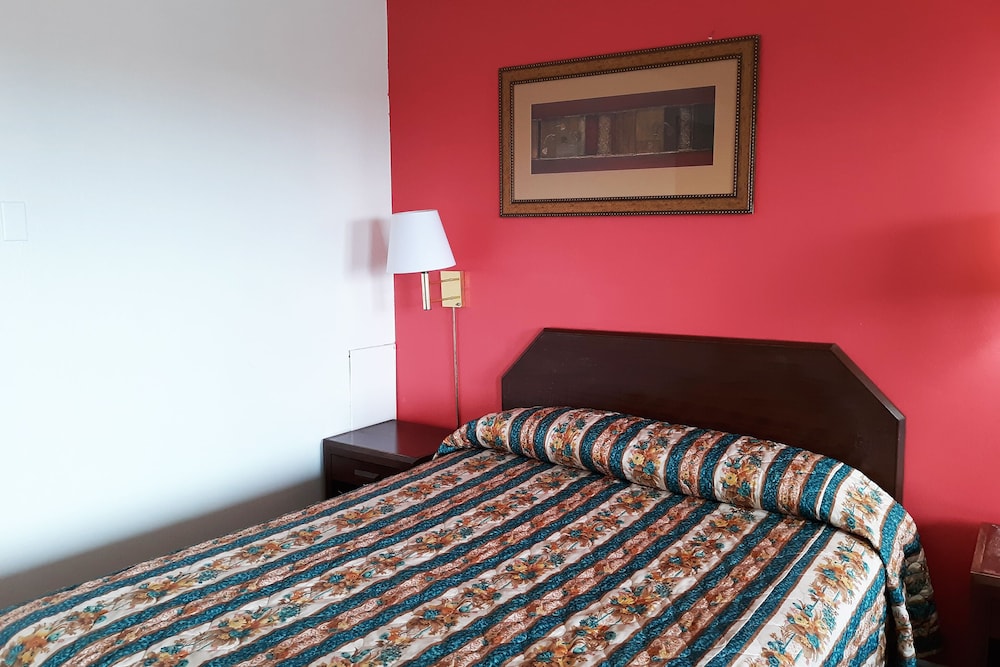 Room, 1 Twin Bed photo 1