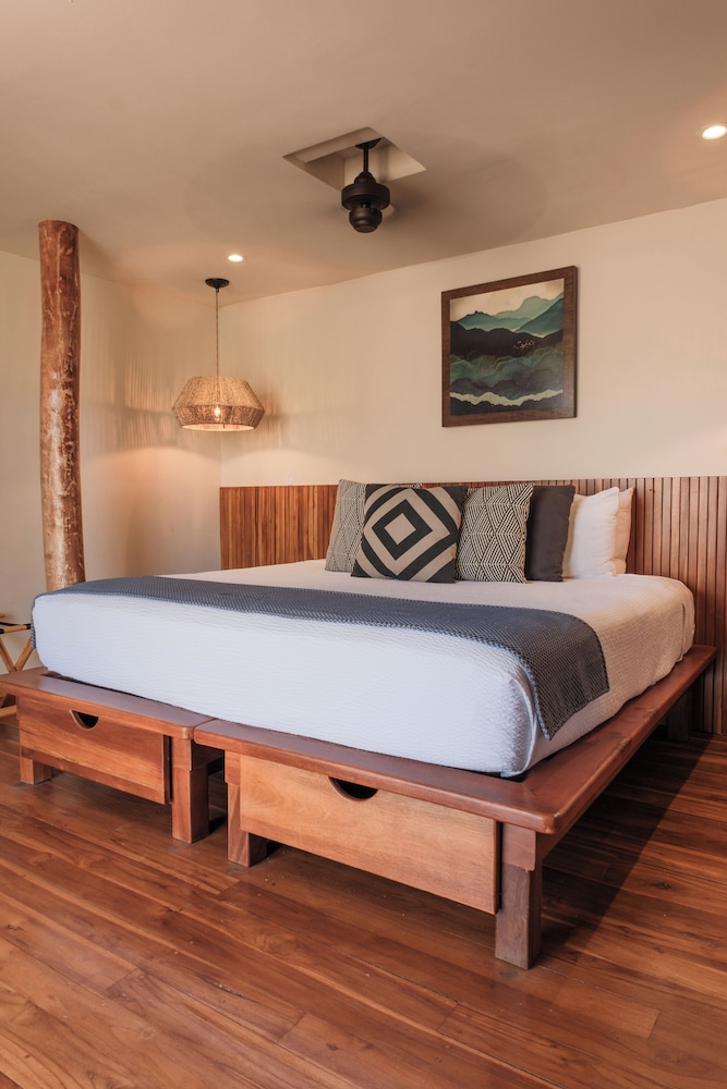 KING DELUXE ROOM photo 2