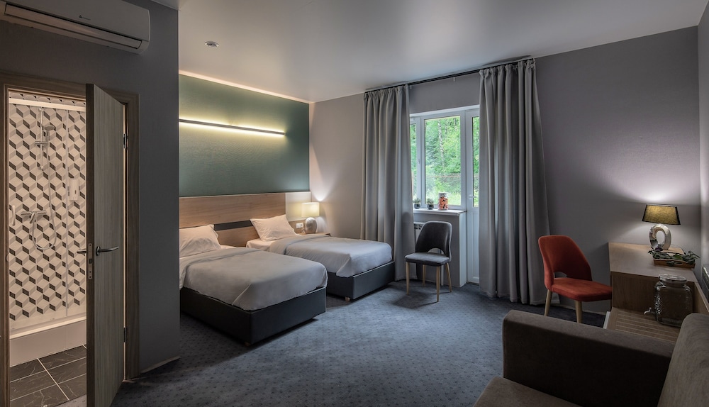 Deluxe Double or Twin Room photo 1