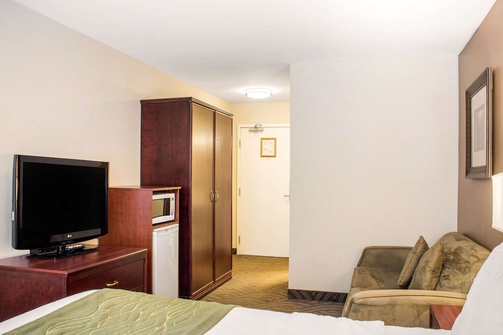 Standard Room, 1 Queen Bed with Sofa bed, Non Smoking - Photo 2