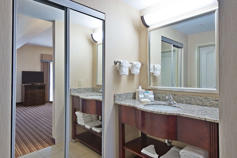 Studio, 1 King Bed, Accessible, Bathtub (Mobility & Hearing) - Photo 6
