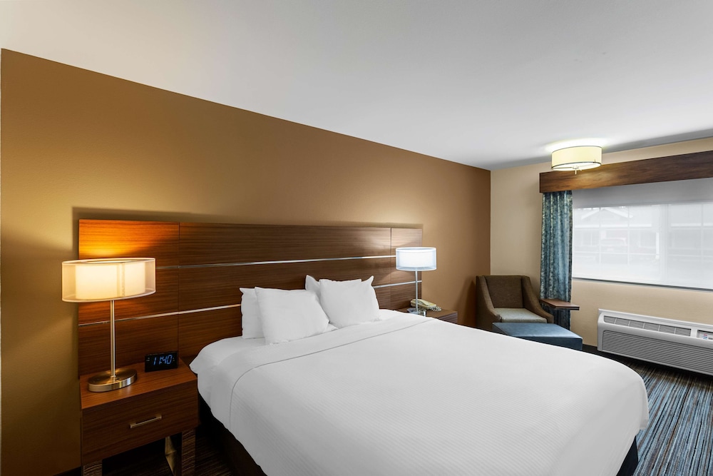 Standard Room, 1 King Bed, Non Smoking (Pet Friendly) photo 2