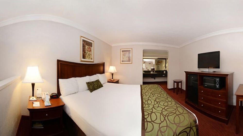 Standard Room, 1 King Bed, Accessible - Photo 3