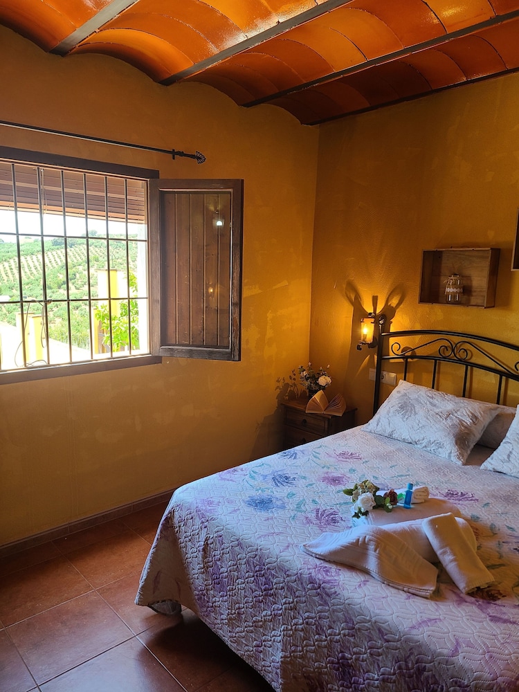 Casa Vacanze Calda con Piscina Privata nel Centro dell'Andalusia, Foto 45