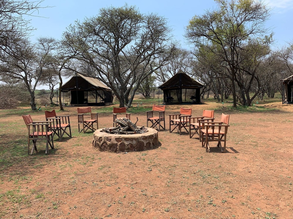 Little Zebra Camp Site photo 1