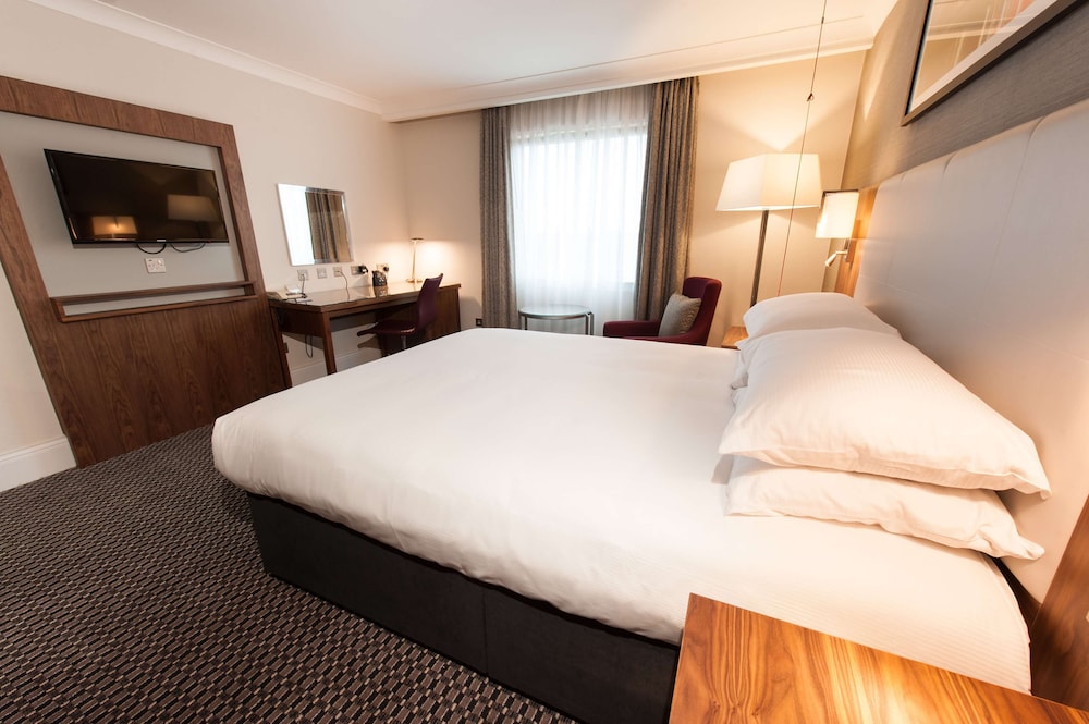 Room, 1 Queen Bed, Accessible photo 3