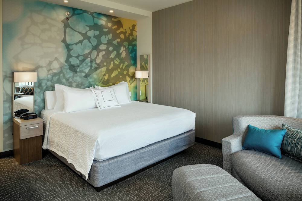 Room, 1 King Bed with Sofa bed (Hearing Accessible)