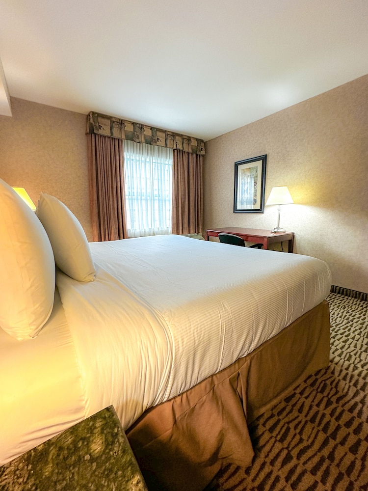 Executive Room, 1 King Bed with Sofa bed, Non Smoking - Photo 2