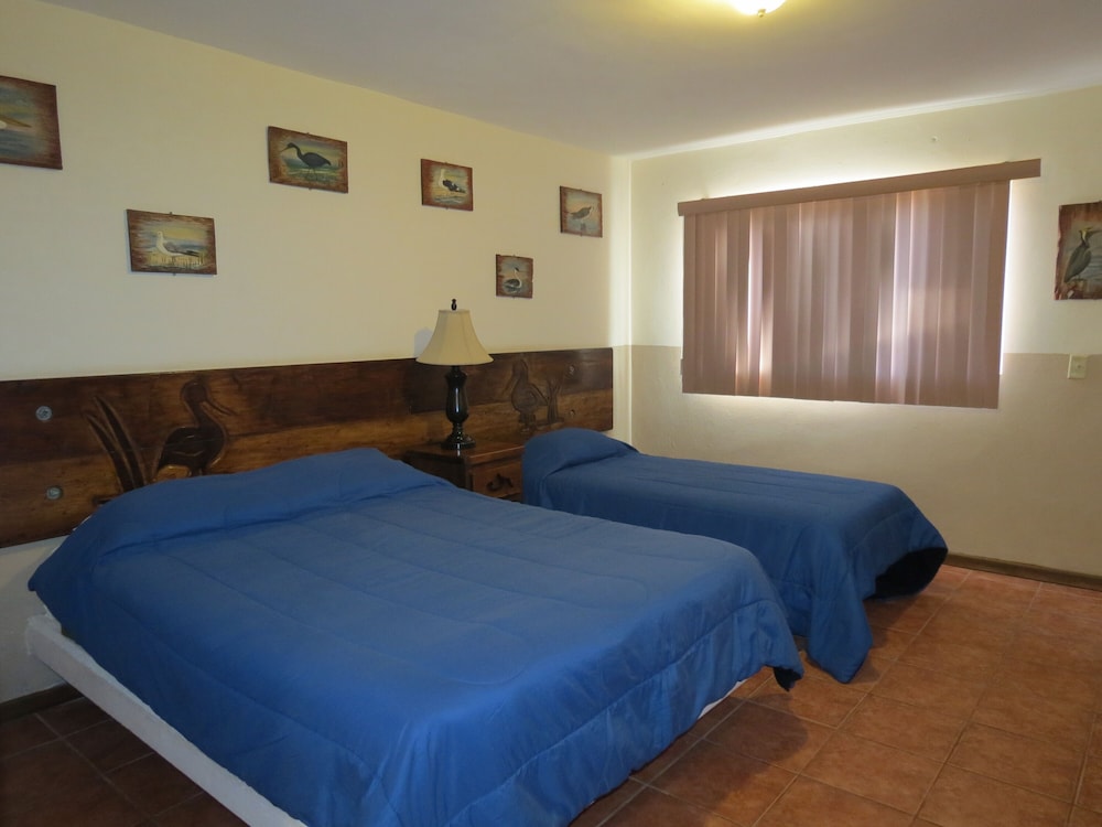 Classic Room - Photo 13