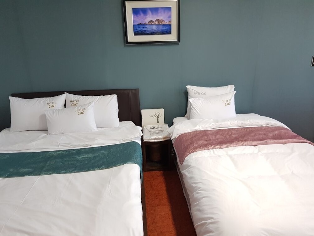 Premium Twin Room photo 3