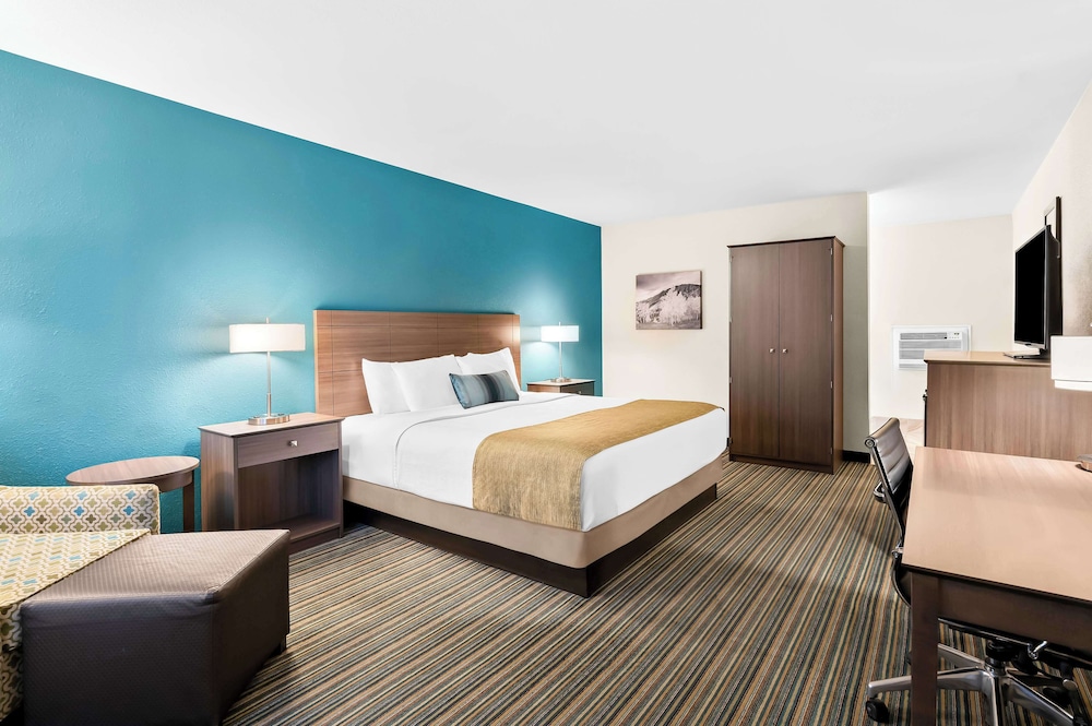 Standard Room, 1 King Bed, Non Smoking, Refrigerator & Microwave (Pet Friendly) photo 1