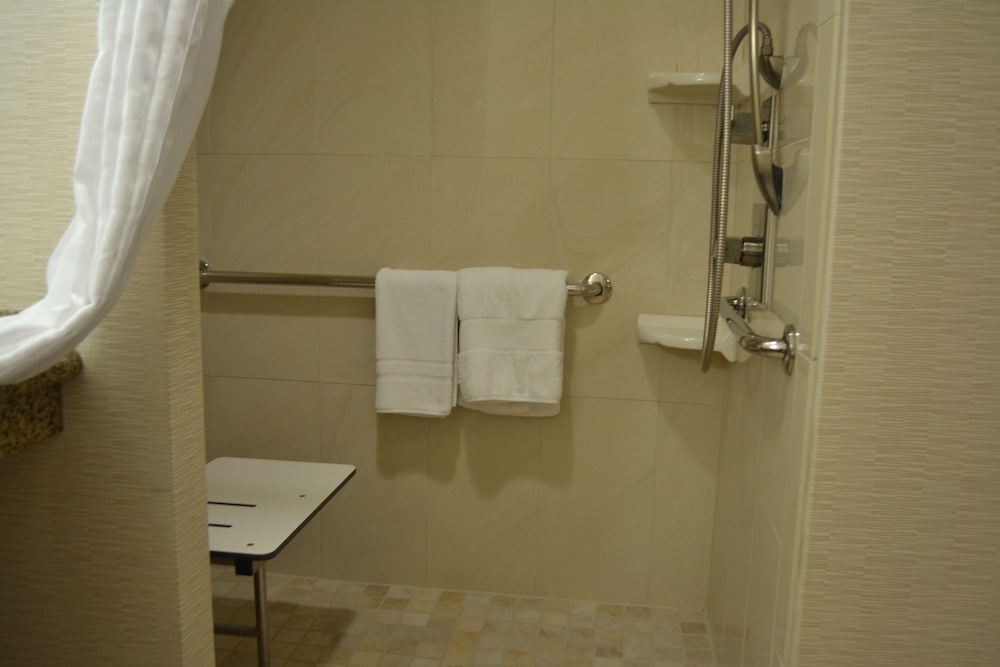 Suite, Accessible, Non Smoking - Photo 7