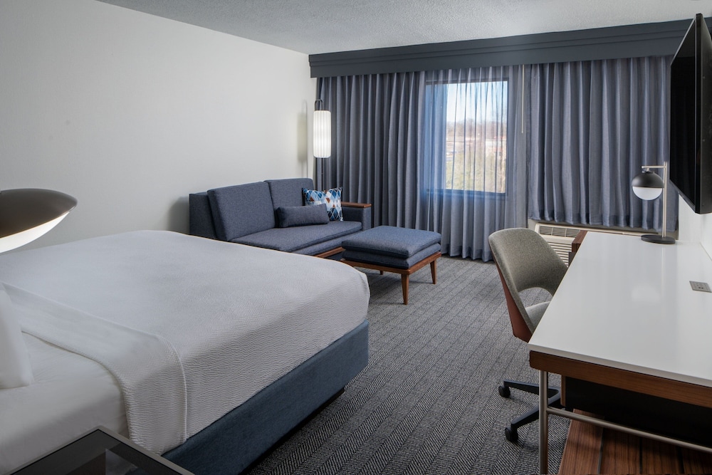 Room, 1 King Bed with Sofa bed (Mobility Accessible, Roll-in Shower)