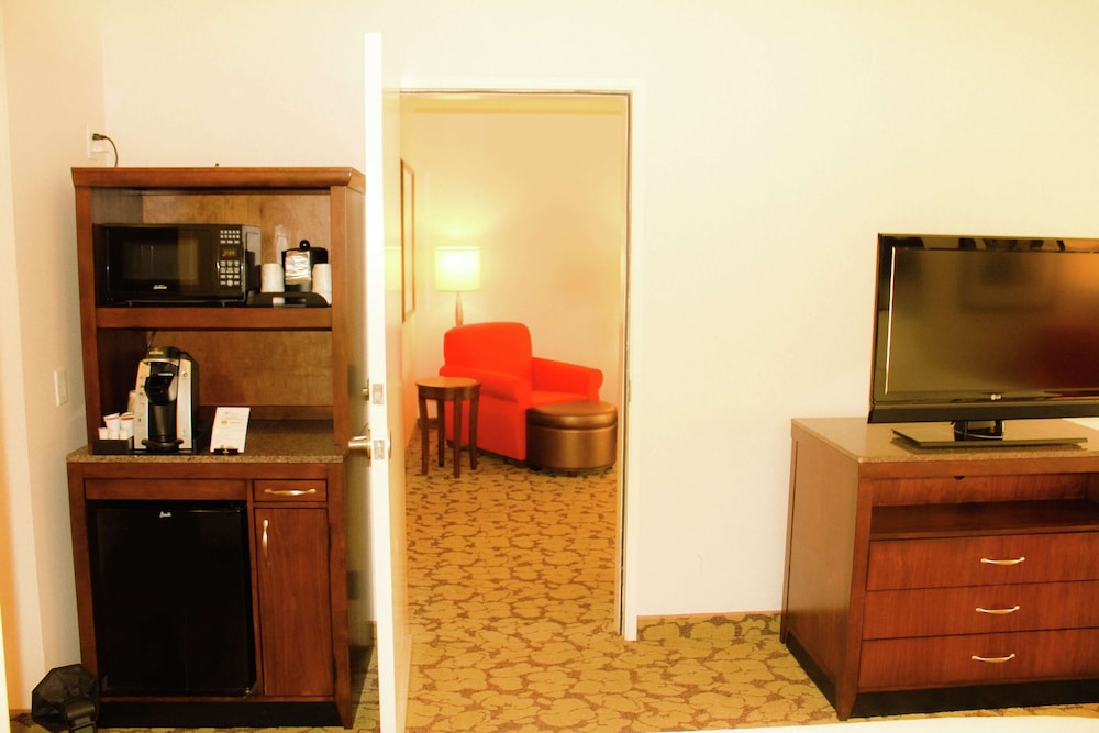 Suite, 1 King Bed photo 3