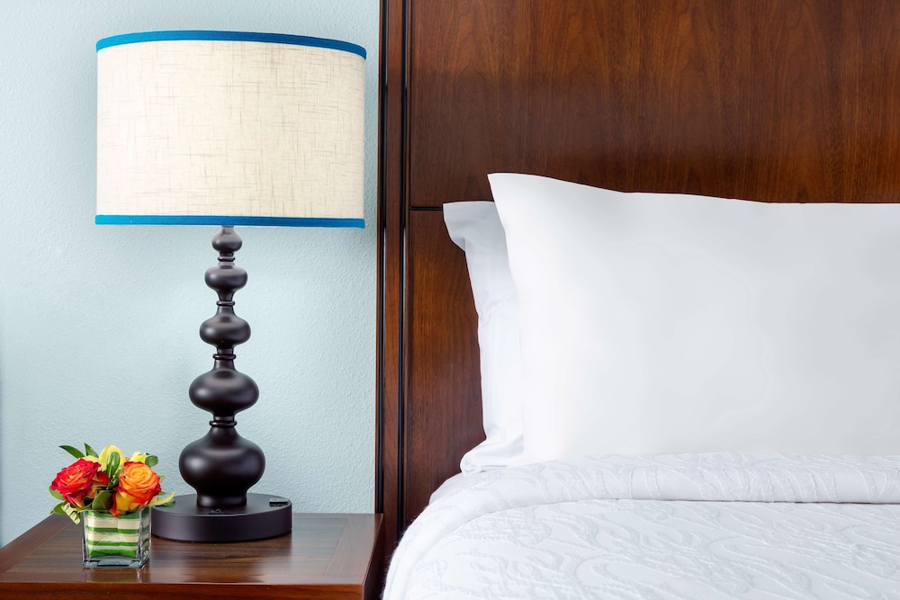 Basic Single Room, 1 Queen Bed photo 2