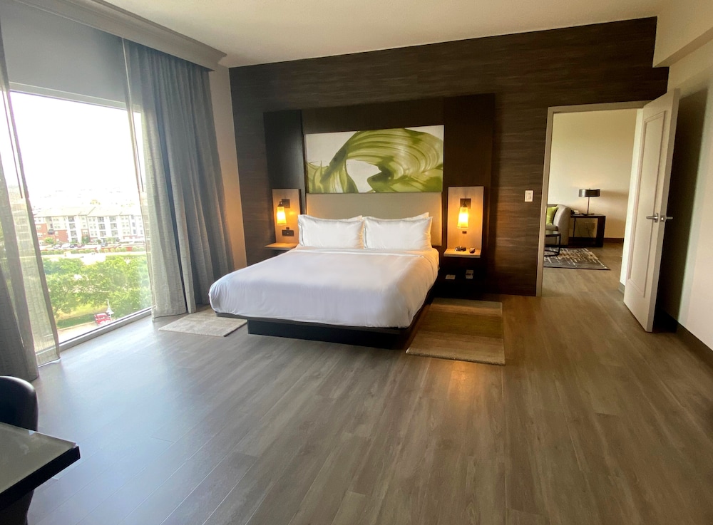 Room, 1 King Bed (Mobility/Hearing Access, Roll-In Shwr)