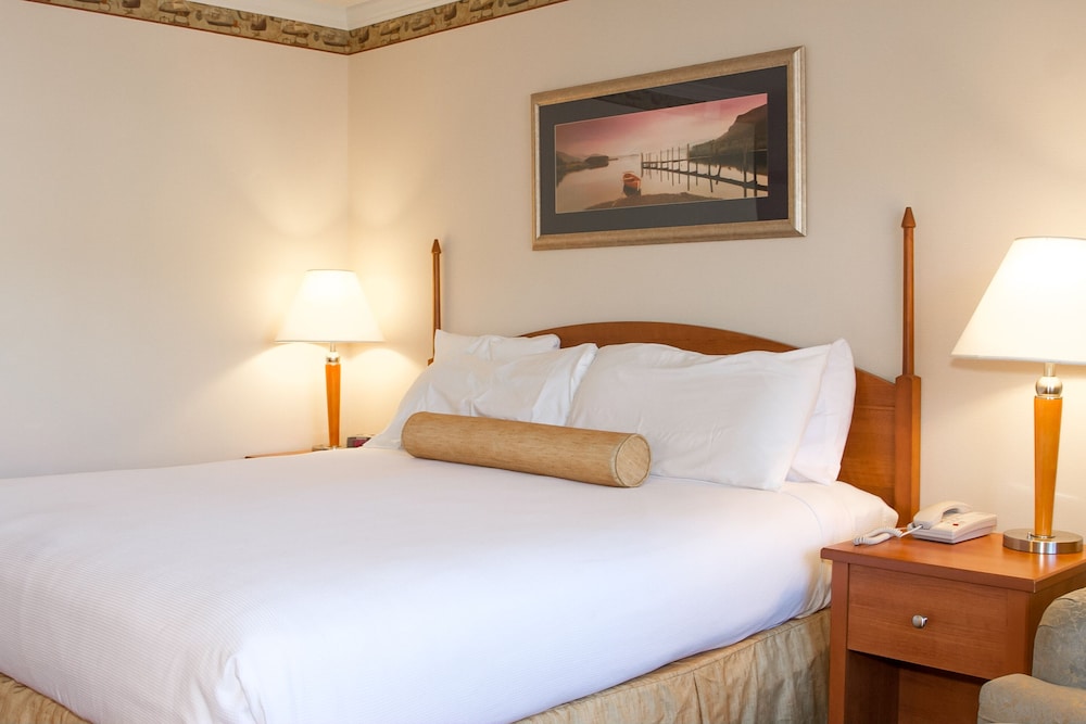 Deluxe King, 1 King Bed photo 1