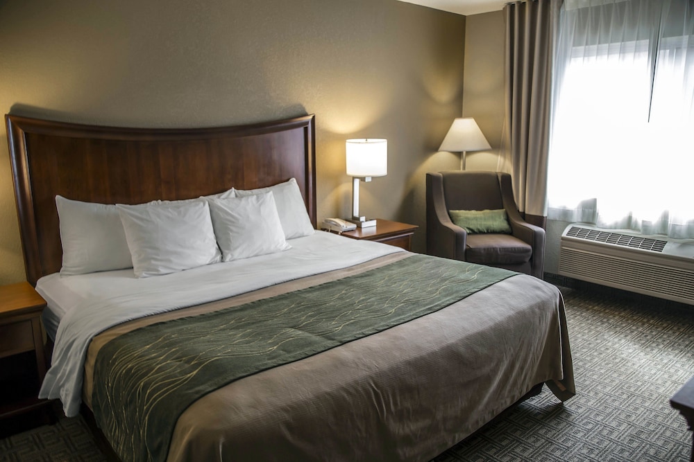 Standard Room, 1 King Bed - Photo 3