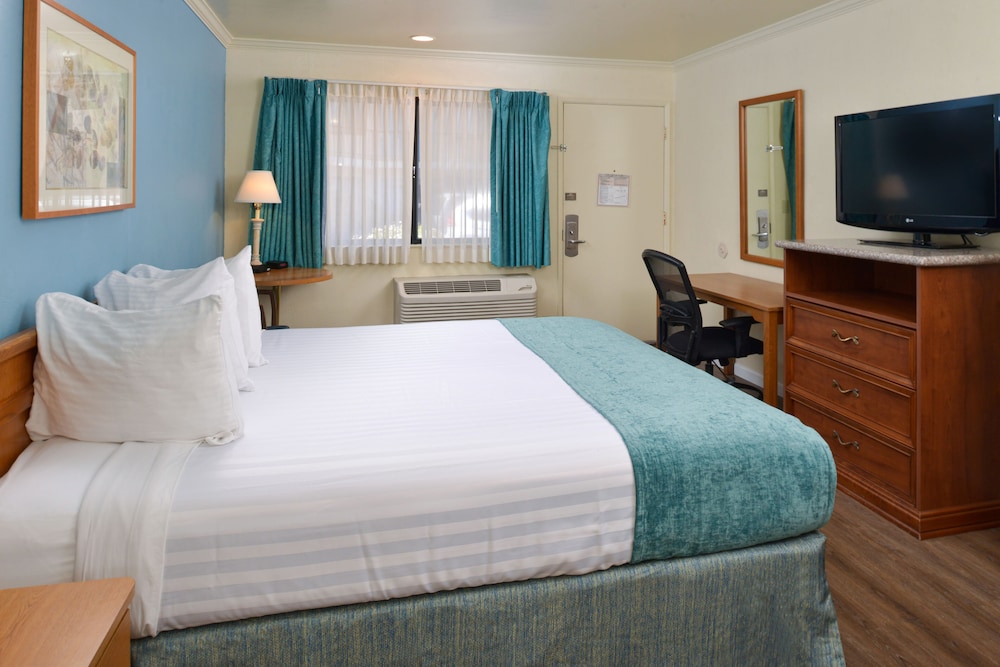 Standard Room, 1 King Bed photo 3
